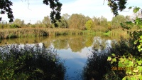 IMG_2544.jpg, 23kB